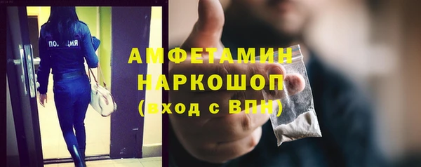 гашик Гусь-Хрустальный