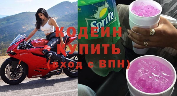 гашик Гусь-Хрустальный