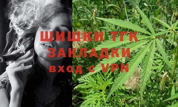дживик Вязьма