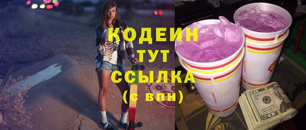 гашик Гусь-Хрустальный