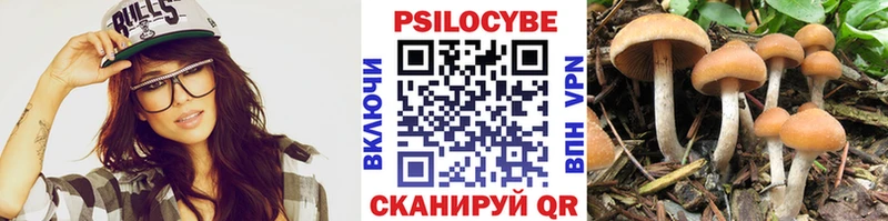 Галлюциногенные грибы прущие грибы Ленинградская